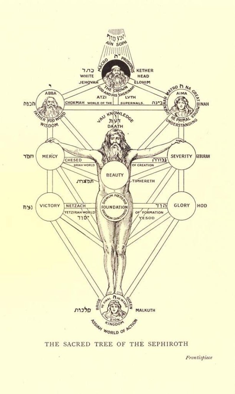 May include: A black and white illustration of the Kabbalistic Tree of Life, also known as the Tree of Sephiroth. The tree is depicted as a human figure with ten circles, called sephirot, representing different aspects of God. The sephirot are connected by lines, representing the flow of divine energy. The image includes Hebrew text and the words "The Sacred Tree of the Sephiroth".