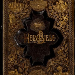 May include: A dark brown leather-bound Holy Bible with gold embossed lettering and decorative designs. The cover features a central starburst with a crown and the words "Holy Bible" in gold lettering. The edges of the cover are decorated with intricate floral patterns and Greek key designs.