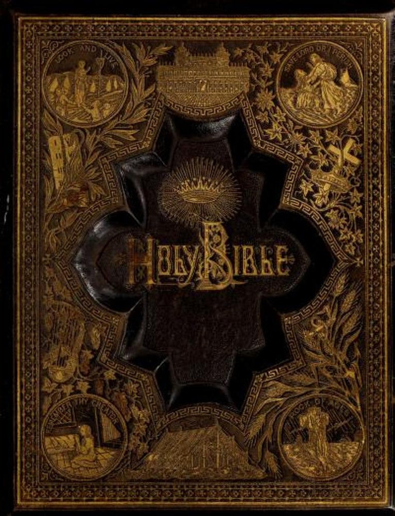 May include: A dark brown leather-bound Holy Bible with gold embossed lettering and decorative designs. The cover features a central starburst with a crown and the words "Holy Bible" in gold lettering. The edges of the cover are decorated with intricate floral patterns and Greek key designs.