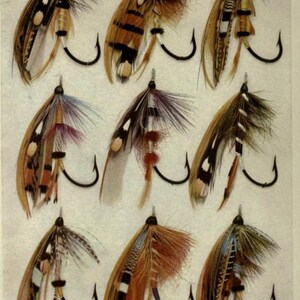 May include: Nine different fly fishing lures with feathers and various colors, including brown, black, white, blue, and red. The lures are arranged in three rows of three, with each lure having a hook.
