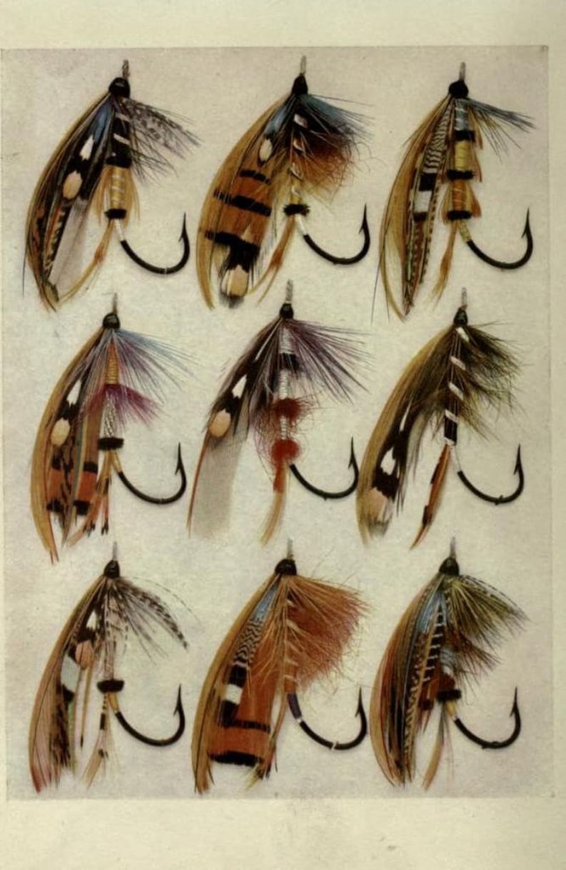 May include: Nine different fly fishing lures with feathers and various colors, including brown, black, white, blue, and red. The lures are arranged in three rows of three, with each lure having a hook.