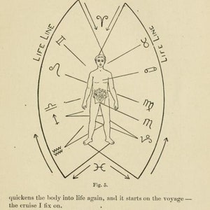 May include: A black and white illustration of a human figure with a circle around the torso. The circle is divided into 12 sections, each containing a zodiac symbol. The figure is standing in the center of a circle with the words "Life Line" written on the left and right sides.