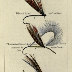 May include: A vintage illustration showing the steps for tying a salmon fly. The illustration shows three stages of the fly tying process, with text describing each step. The text includes "Wing & head tied on First", "The Hackle & Tinsel tied in at the Shoulder rolled to the", and "The Hackle & Tinsel body & the at the Tail rolled over the Fly finished".