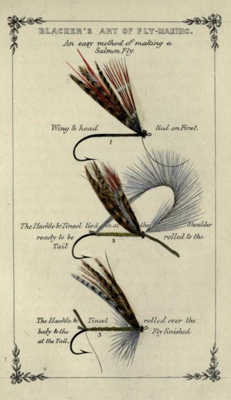 May include: A vintage illustration showing the steps for tying a salmon fly. The illustration shows three stages of the fly tying process, with text describing each step. The text includes "Wing & head tied on First", "The Hackle & Tinsel tied in at the Shoulder rolled to the", and "The Hackle & Tinsel body & the at the Tail rolled over the Fly finished".