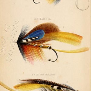 May include: A vintage illustration of three different fly fishing lures. The first lure is called "The Goldfinch", the second is called "Britannia", and the third is called "Erin Go Bragh".