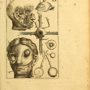 May include: A vintage anatomical illustration of the human eye, showing the different parts of the eye and surrounding structures. The image is labeled with letters and numbers, and includes a close-up of the eye and a diagram of the eye's muscles.
