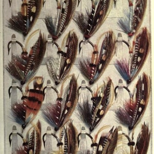 May include: A close-up view of a display of 18 colorful fly fishing lures with feathers and hooks. The lures are arranged in rows on a white background.