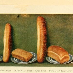 May include: A close-up of eight different types of bread, including Graham, White, Whole Wheat, French, White Square Loaf, and Oatmeal. The bread is arranged on plates with a green background.
