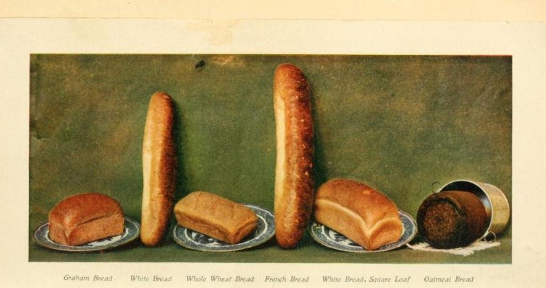 May include: A close-up of eight different types of bread, including Graham, White, Whole Wheat, French, White Square Loaf, and Oatmeal. The bread is arranged on plates with a green background.