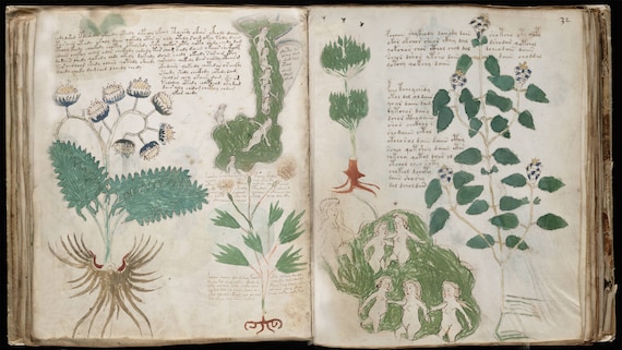 The Voynich Manuscript On USB - Mystery Medieval Book Secret Language Occult Code Codex Decoded Symbols Illustrations Herbs Medicine Art