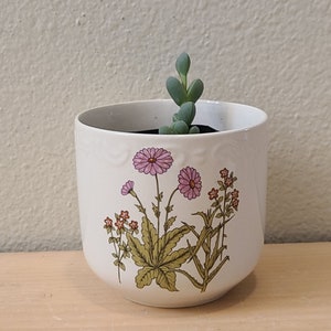 May include: White ceramic planter with a floral design featuring pink and orange flowers. The planter has a succulent plant growing inside.
