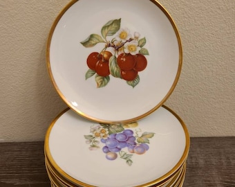 1960's Hutschenreuther Fruit 8" Salad Plates-Vintage Plates-Farmhouse-Shabby Cottage Chic-Cherry--Strawberry-Apple-Peach-Plum-Grape-Pear