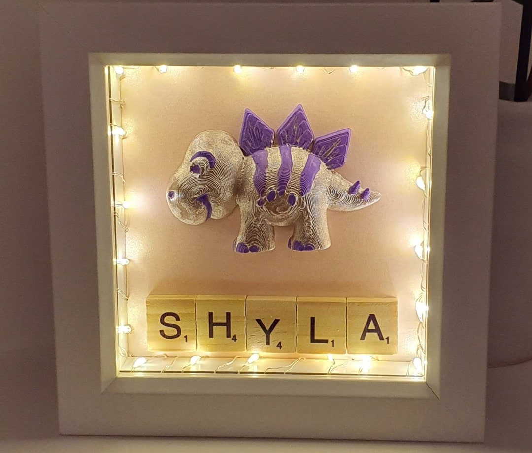 Personalised Dinosaur Light up Box Frame Etsy