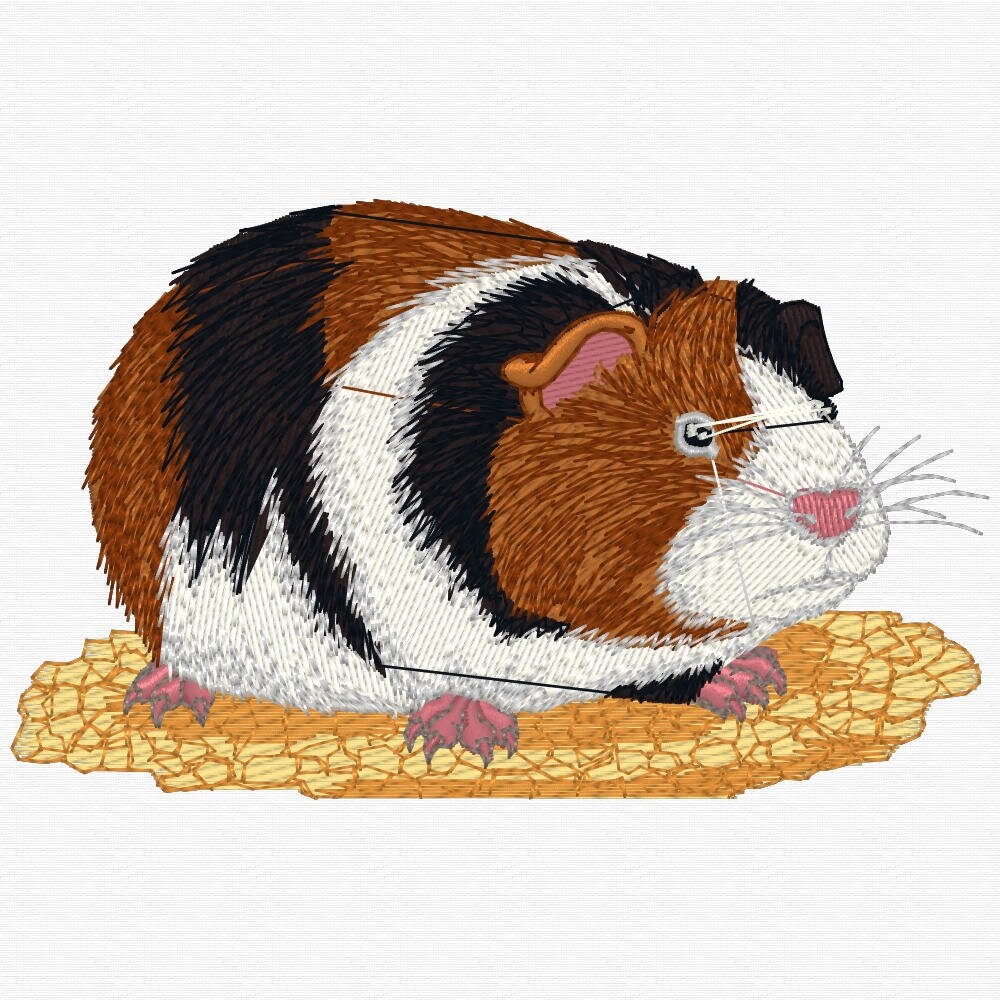 Guinea Pig Embroidered Towels Animal Embroidered Towel Etsy