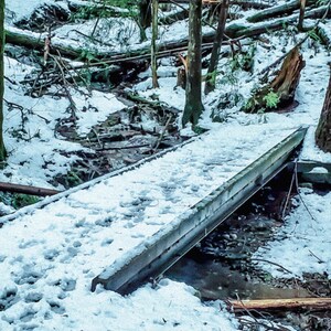 Bridge  to Winter Wonderland