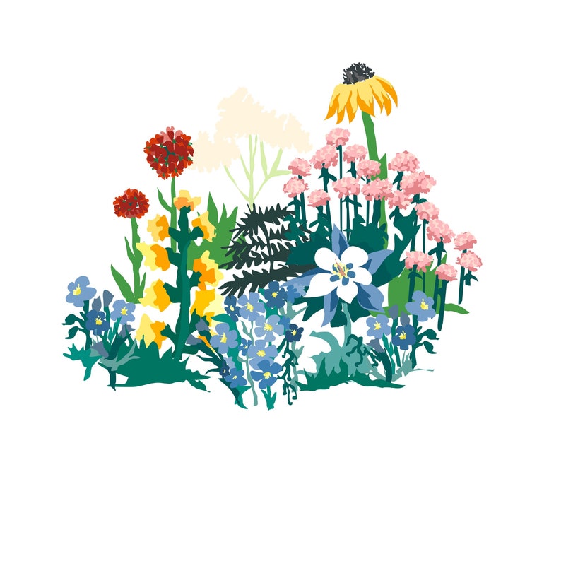 Colorado Wildflower Large Art Print, Columbine, Red Alpine, Black Eyed Susan, Original Art