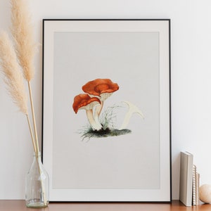 Fine Art Print "Mushrooms"