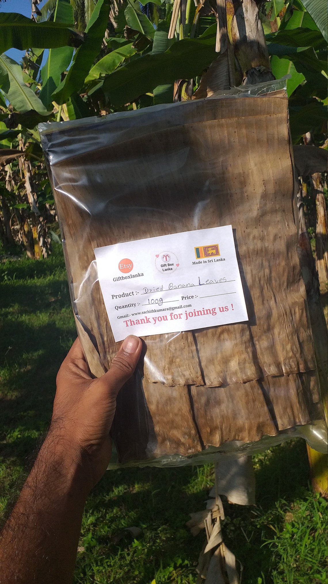 Great Quality Dried Banana leaves. 100 Natural Art and Etsy