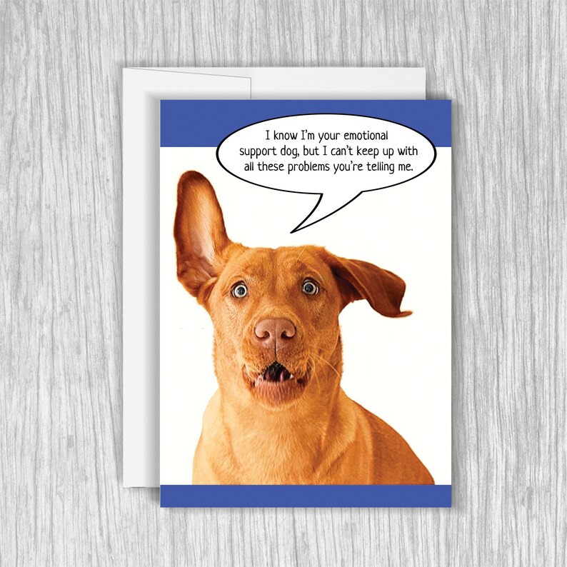 Funny Dog Birthday Card, Funny Birthday Card, Funny Greeting Card for ...