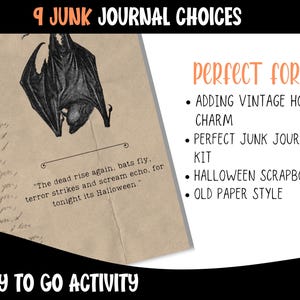 Vintage Halloween Journal Pages: Spooky Scrapbook Inserts (Digital Download) image 2