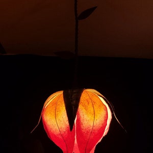 Hanging Lotus flower lamp, Paper Flower Lamp, carta riso, lampada sospensione, decorazione artistica, interni casa, paralume fatto a mano