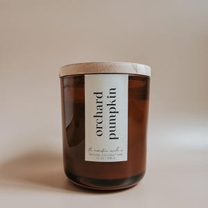 Orchard Pumpkin Natural Coconut Wax Candle Fall Scent Autumn Spice Wooden Wick