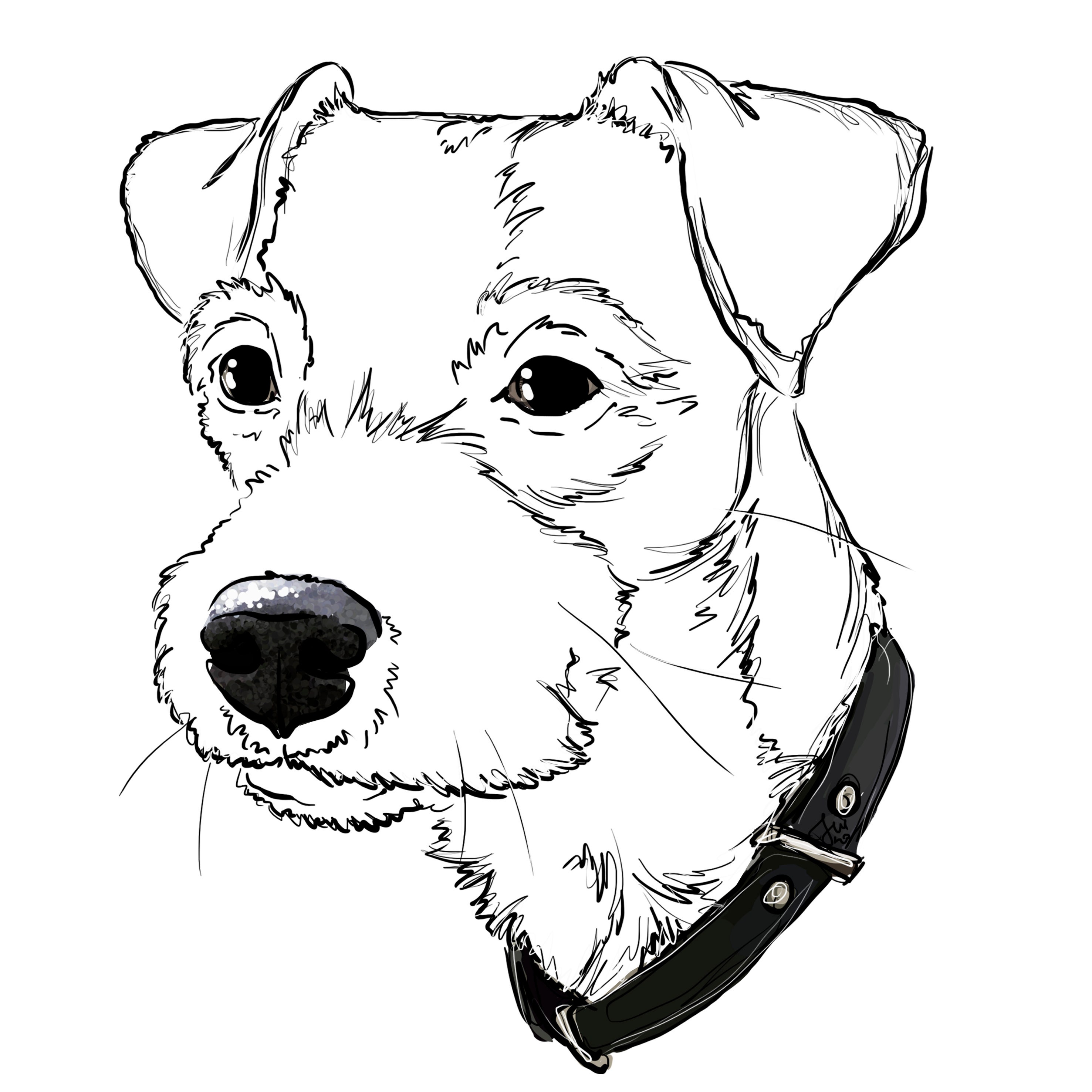 Custom pet portrait Line portrait Pet portrait custom | Etsy