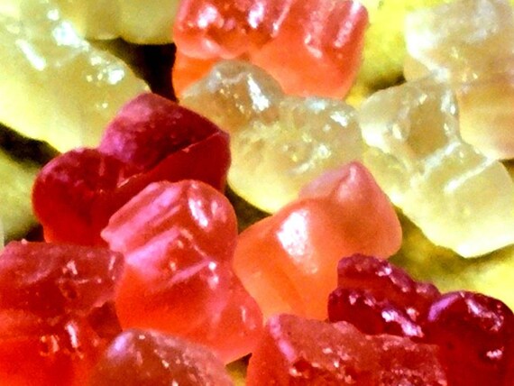 Sugar-free Customizable Squishy Bears