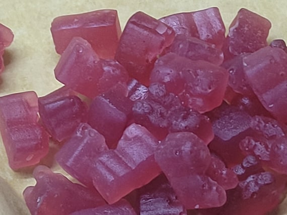 Cinnamon Squishy Bears