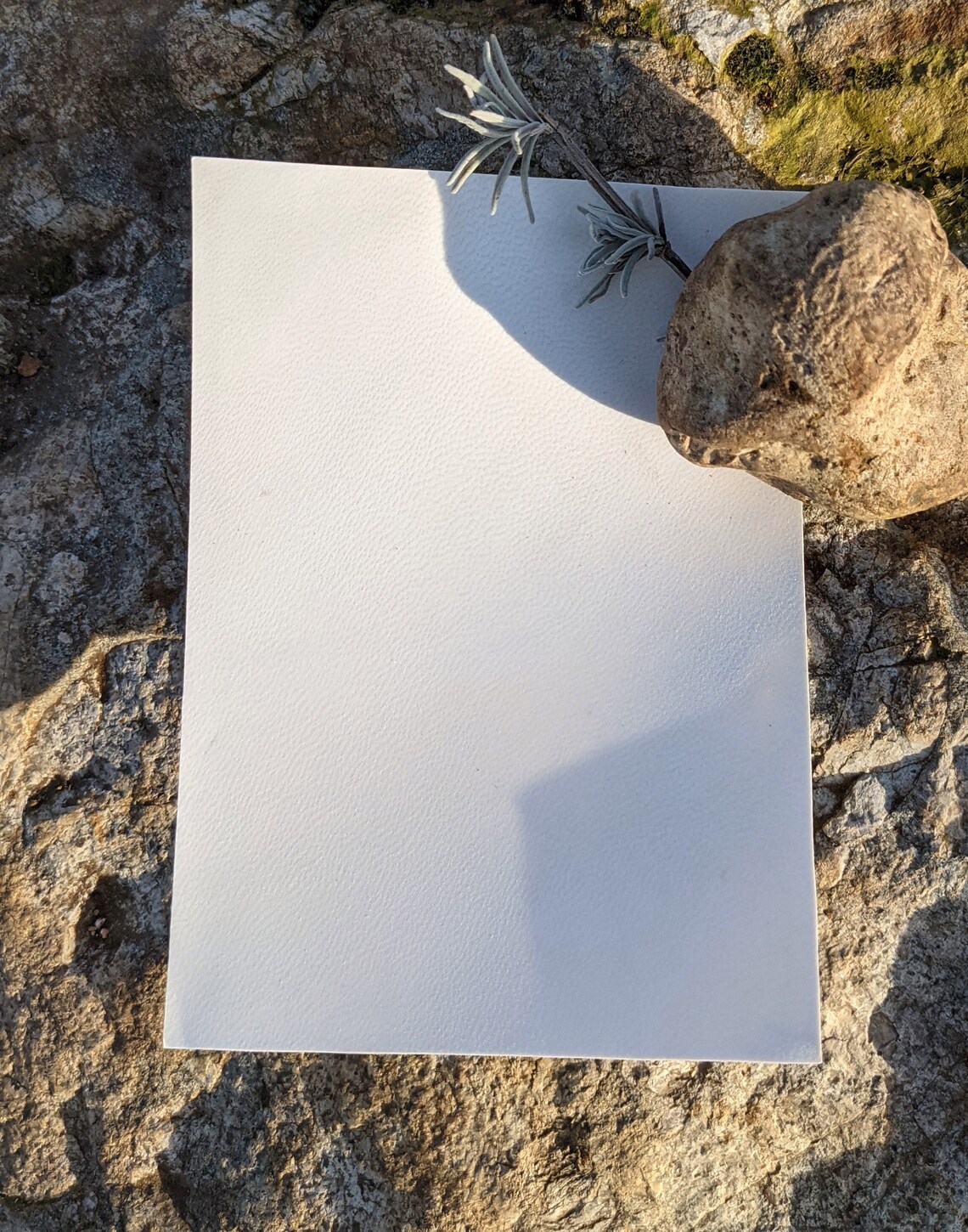 Traditional Spell Writing Paper Genuine Vellum Sheepskin Etsy