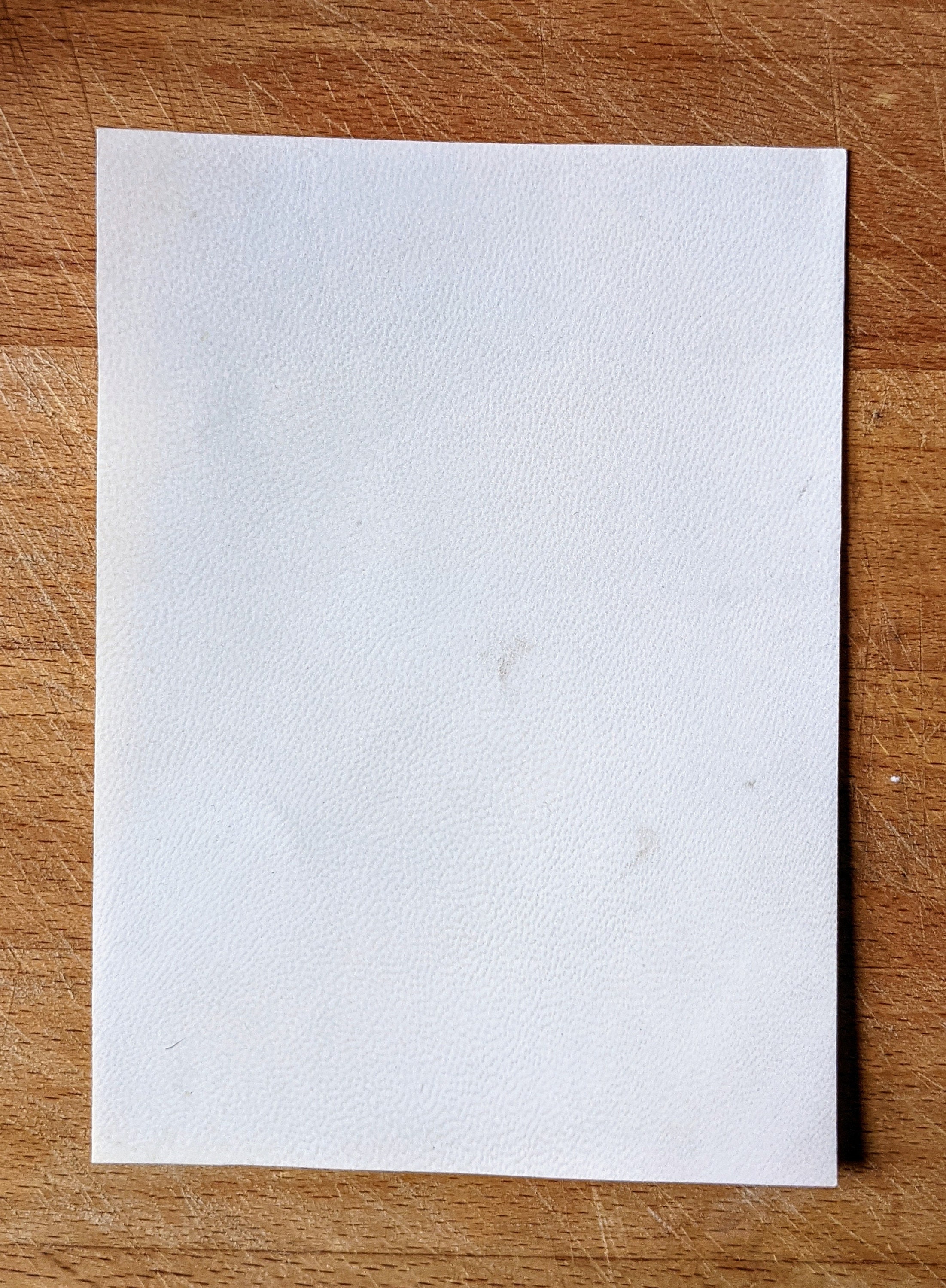 Traditional Spell Writing Paper Genuine Vellum Sheepskin Etsy