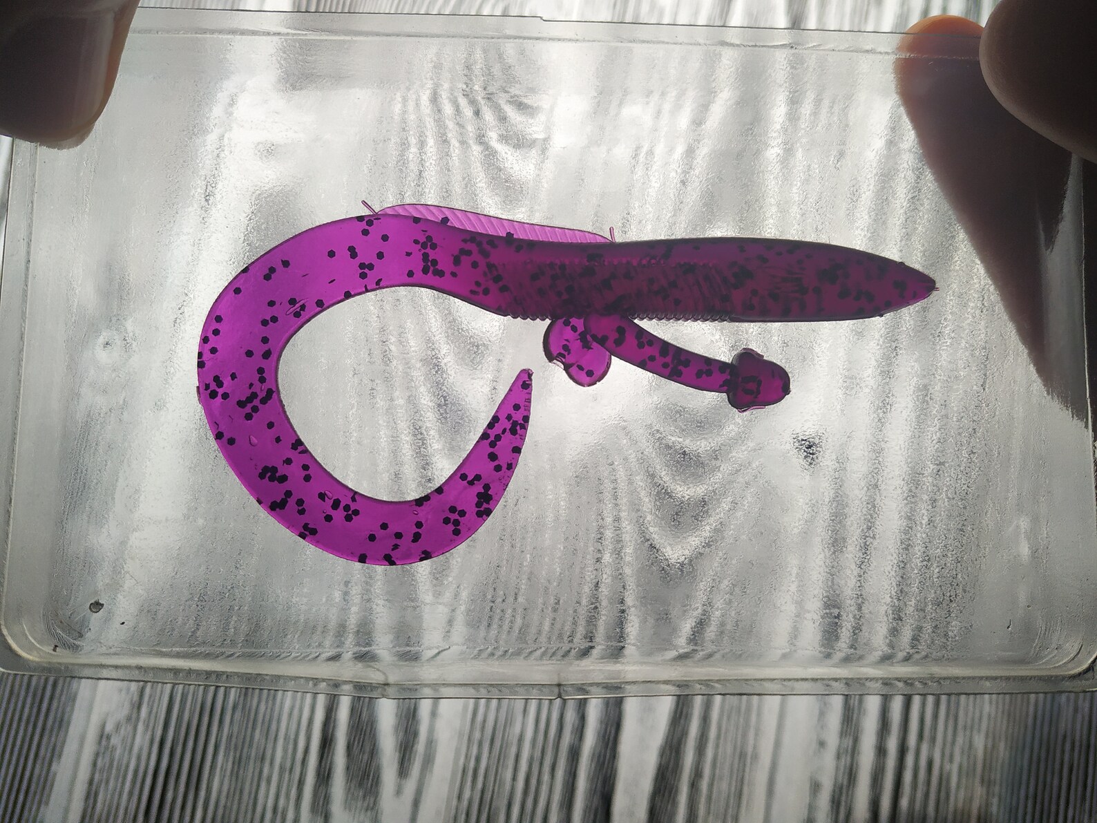 Funny Fishing Lure Author's Fishing Lure Perfect Gift Etsy