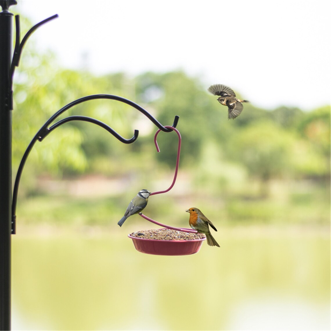 Bird feeder outdoor balcony outdoor garden hanging waterproof | Etsy