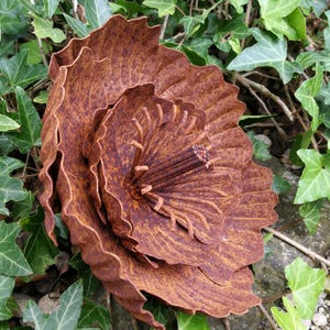 Edelrost Blume Agneta, klein Rostblume Metallblume Gartedeko Rost