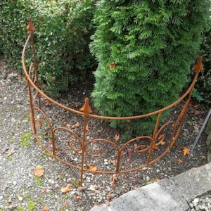 Könnte beinhalten: Ein rostiger Metallzaun für den Garten mit dekorativen Schnörkeln, der einen kleinen immergrünen Baum umgibt. Der Zaun ist gebogen und hat spitze Endstücke.