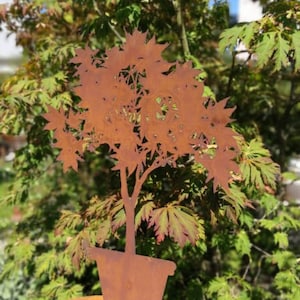 Edelrost japanischer Ahorn Gartendeko Rost Metall Rostdeko