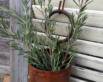 Pot patiné avec anneau, pour planter des fleurs, décoration de jardin, panier de plantes