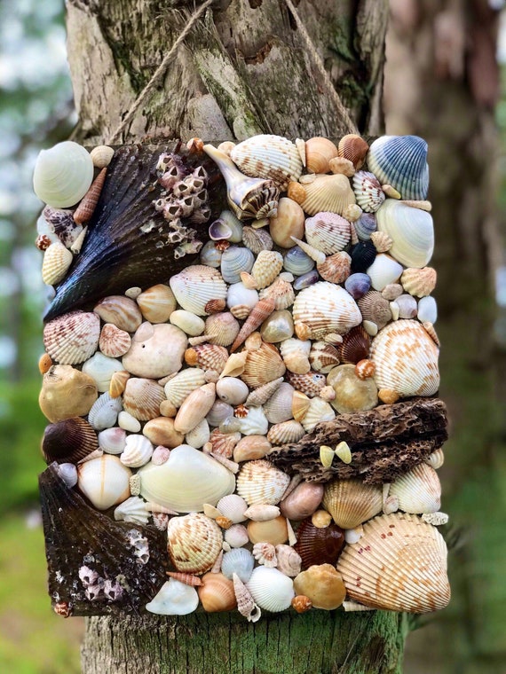 Seashell art/ beach decor/wall decor/shell collage/ beach Etsy