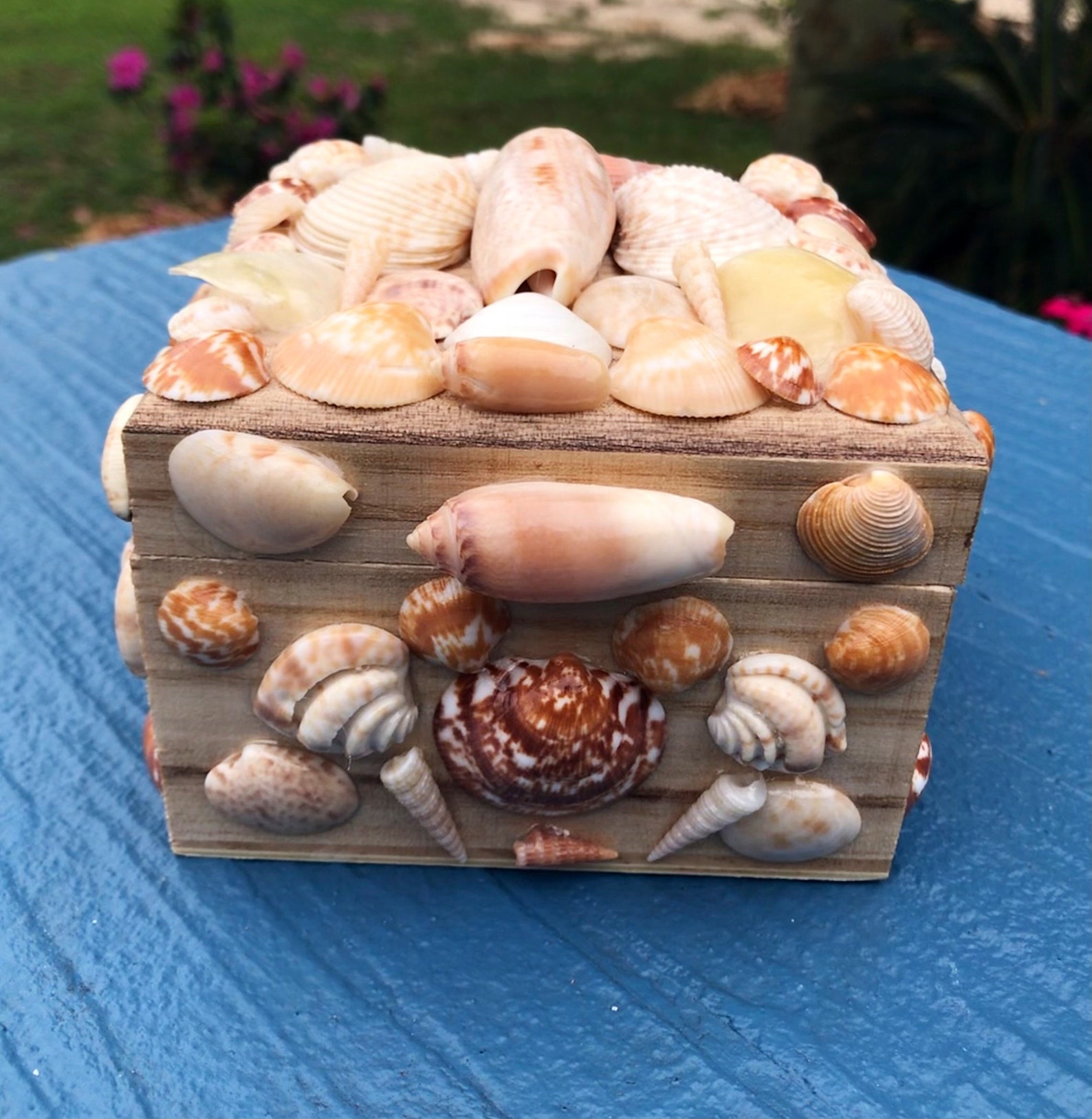 Seashell Jewelry Box/ Coastal Jewelry Box/ Beach Jewelry Box/ Etsy