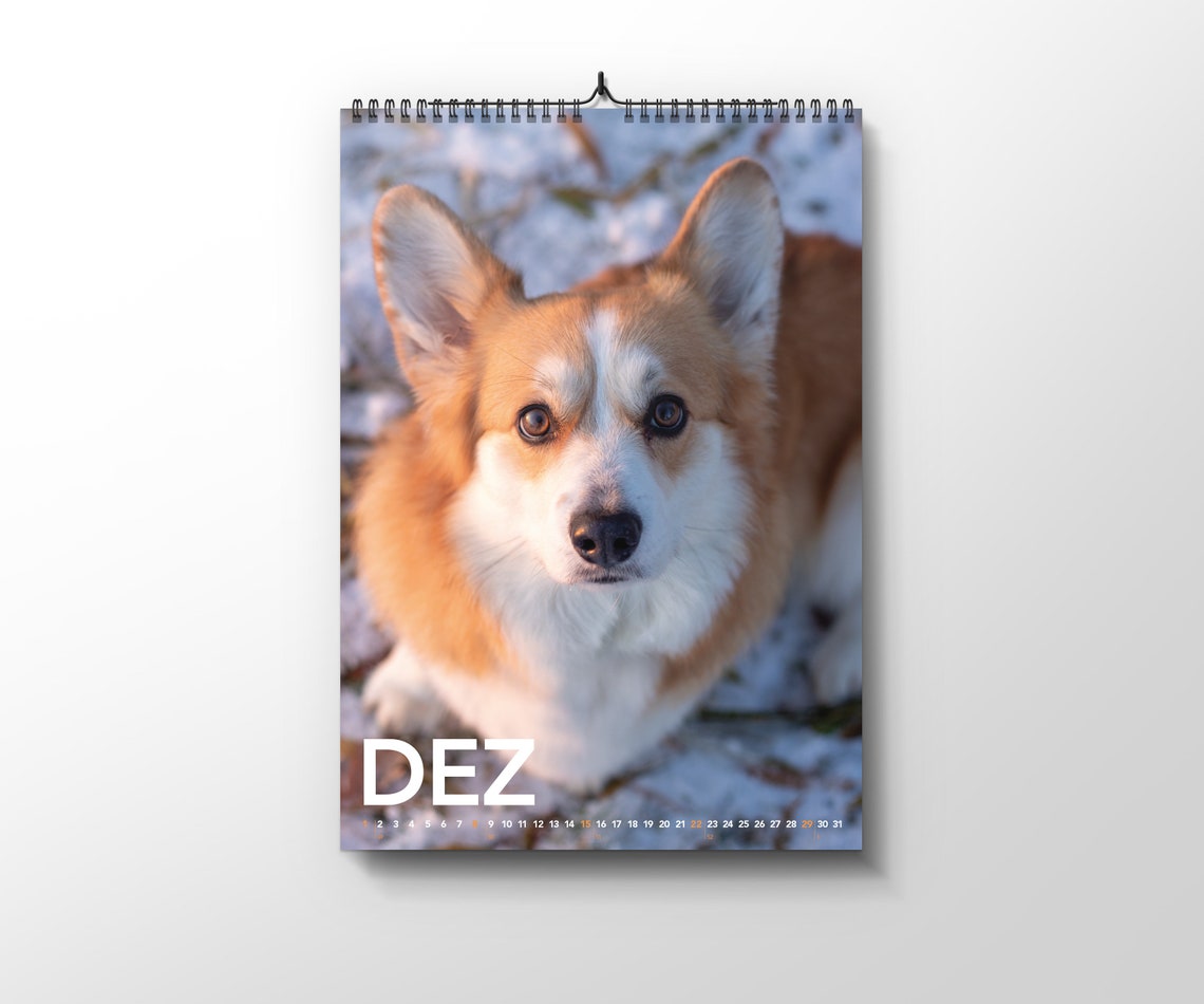 Corgi Calendar 2024 Corgi Calendar 2024 - Etsy Canada