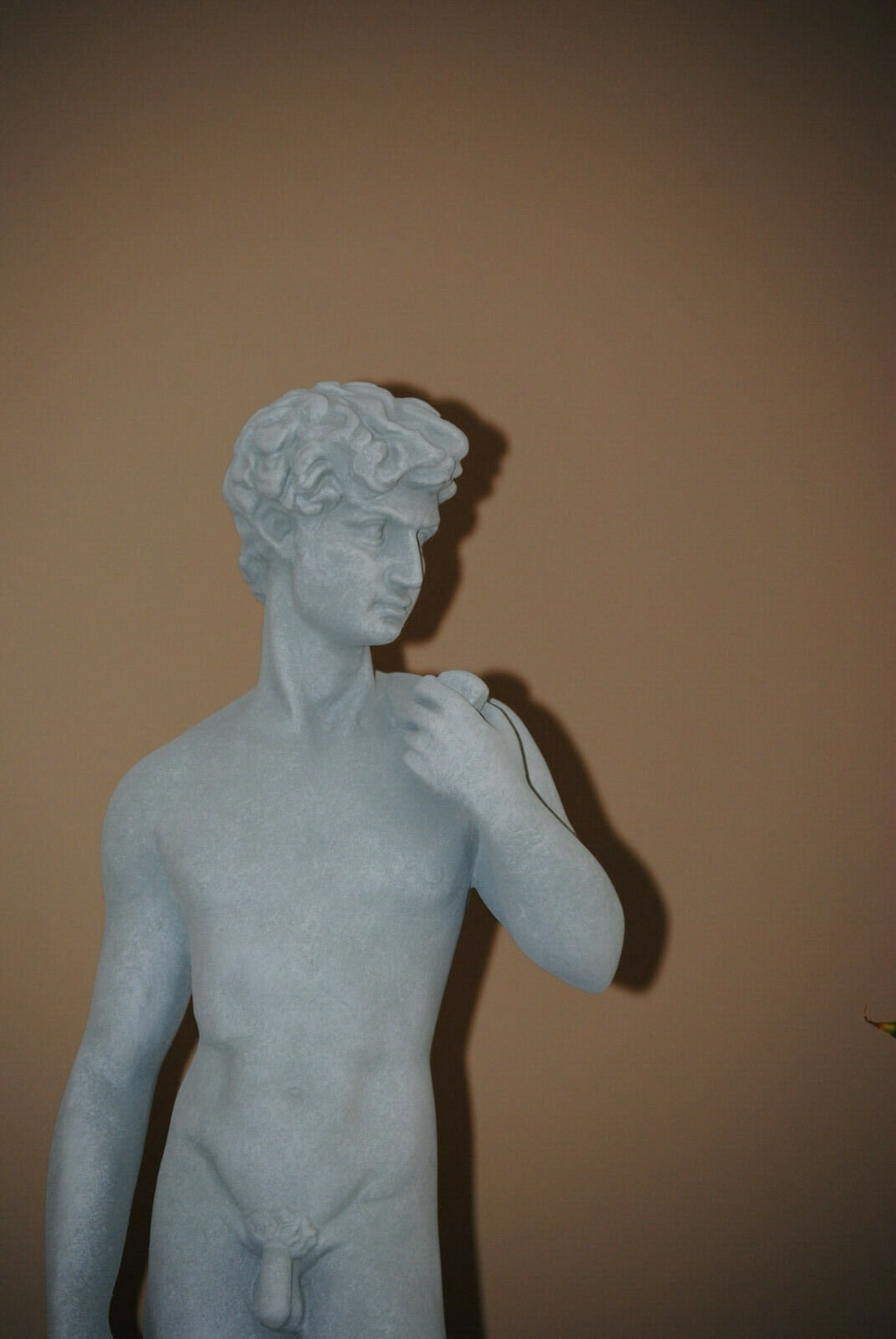 David Sculpture Cement Michelangelo David Naked Man Statue Etsy