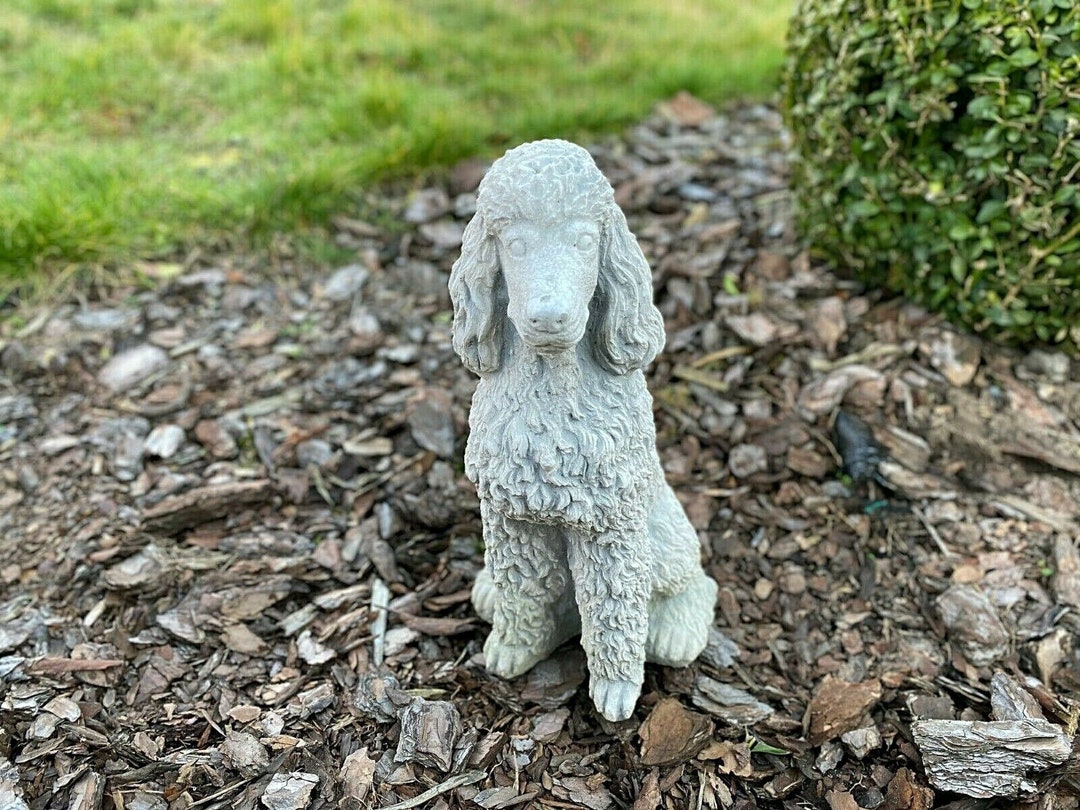 Great Poodle Dog Concrete Poodle Dog Breed Dog Statue Etsy