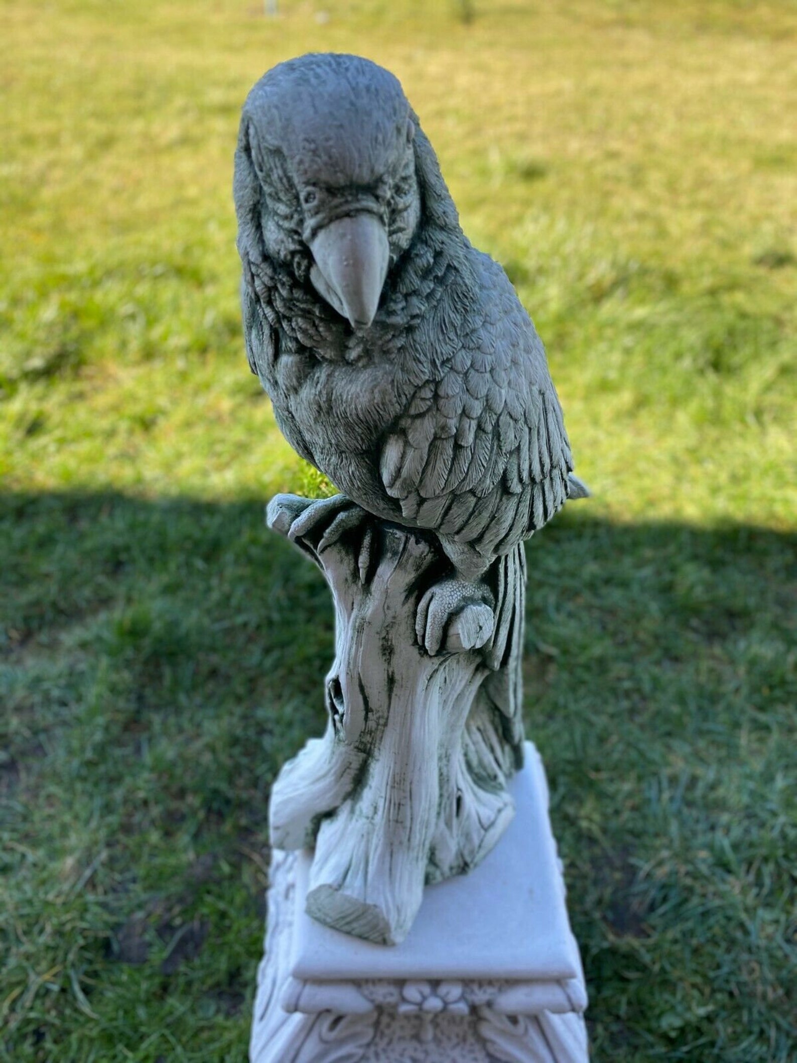 Parrot on Branch Concrete Parrot Sculpture Bird Figurine Etsy