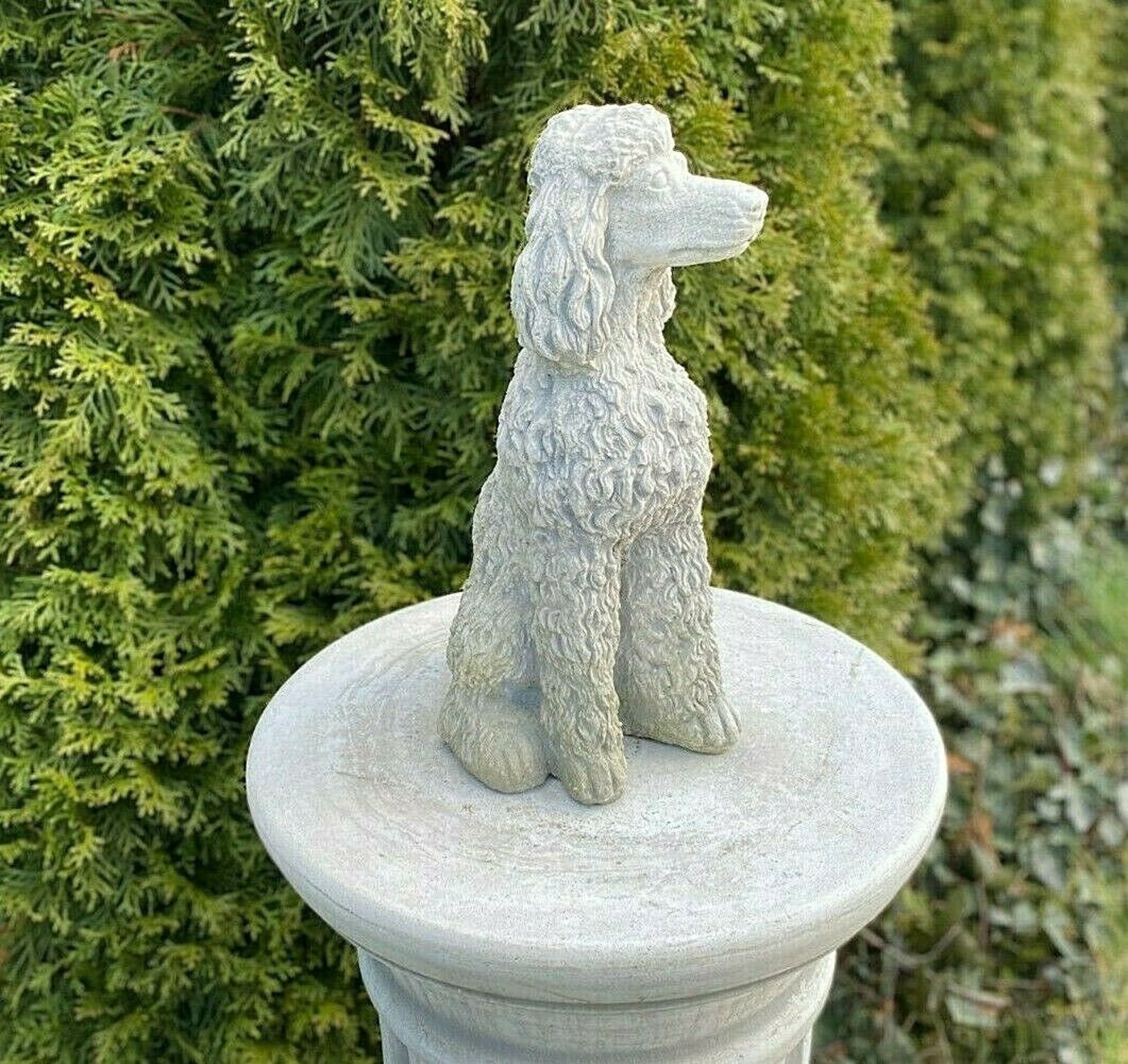 Great Poodle Dog Concrete Poodle Dog Breed Dog Statue Etsy