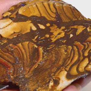 Puede incluir: Primer plano de una piedra preciosa de &oacute;palo en bruto pulida. La piedra presenta un patr&oacute;n complejo de capas marrones, naranjas y crema con vetas de color marr&oacute;n oscuro. El &oacute;palo se sostiene en una mano, mostrando su belleza natural.