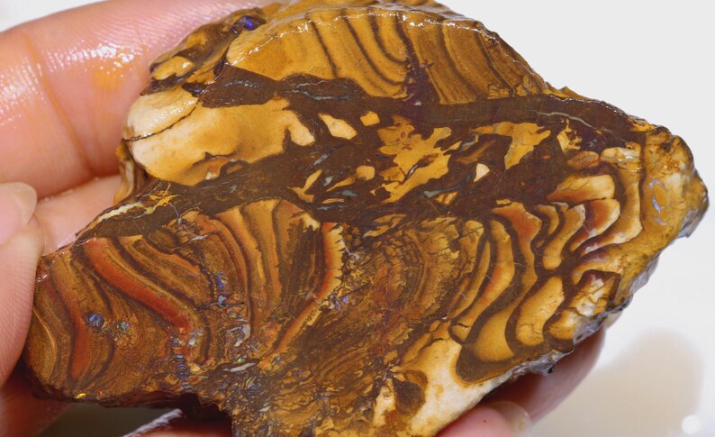 Puede incluir: Primer plano de una piedra preciosa de &oacute;palo en bruto pulida. La piedra presenta un patr&oacute;n complejo de capas marrones, naranjas y crema con vetas de color marr&oacute;n oscuro. El &oacute;palo se sostiene en una mano, mostrando su belleza natural.