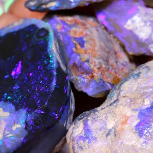 May include: Close-up of a collection of rough opal stones. The opals display a variety of colors, including deep blues, purples, and flashes of pink and green. The stones have a natural, textured appearance.