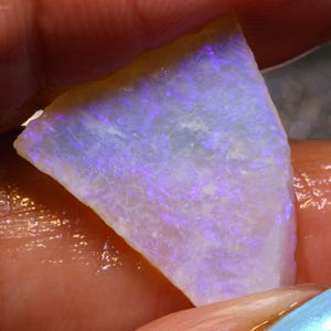 May include: A triangular-shaped opal gemstone with a milky white base and vibrant flashes of purple and blue. The stone has a rough, natural texture and a thin, golden-brown edge. The opal is held in a hand, showcasing its iridescent play of color.