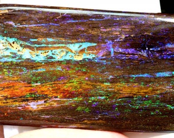 93.80-CTS Yowah Palm Wood Fossil Opal Stone  NC-5784