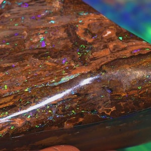 254Cts Yowah Opal Wood Replacement NC-A1602